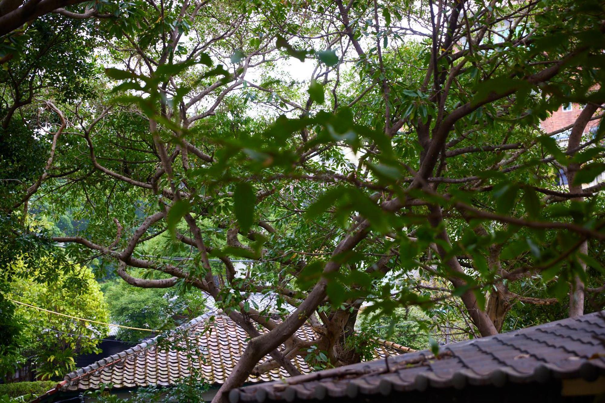 Kyokusui Hotspring Hotel ไทเป ภายนอก รูปภาพ